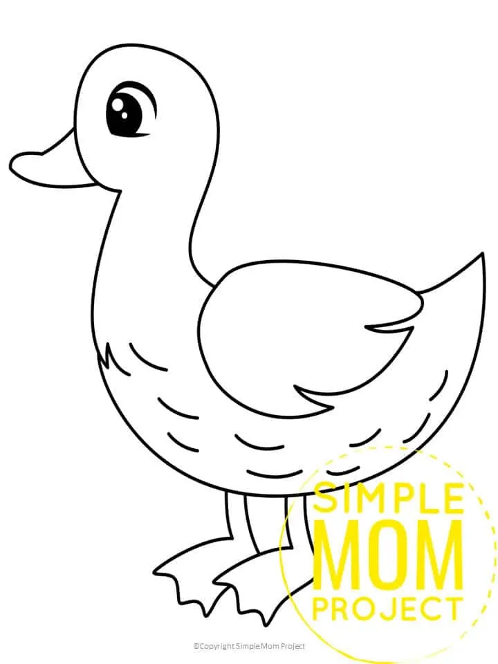 Printable Duck Template for Preschoolers toddlers kindergarten kids