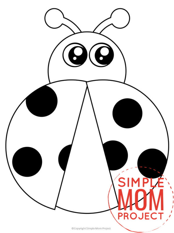 Are you looking for cute bug template printable cut out insects? These insect templates are great for any bug crafts! There's a bee, ladybug, grasshopper, spider and many more cute and simple insect templates! Click to download and print your set of insect templates today!