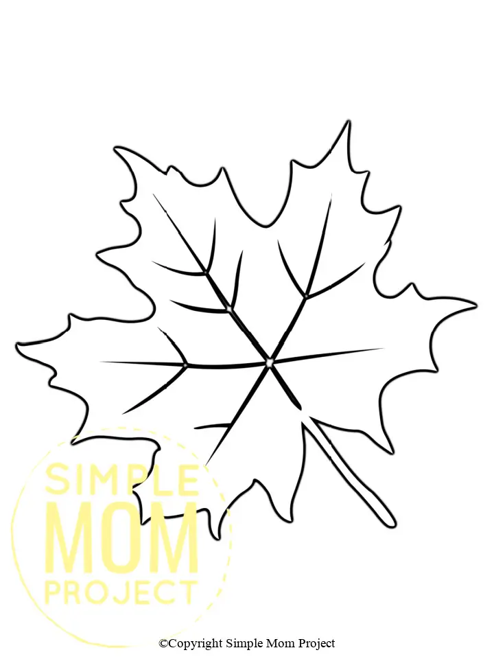 Printable Leaves Template for toddlers, preschoolers, kindergarteners and elementary kids 3