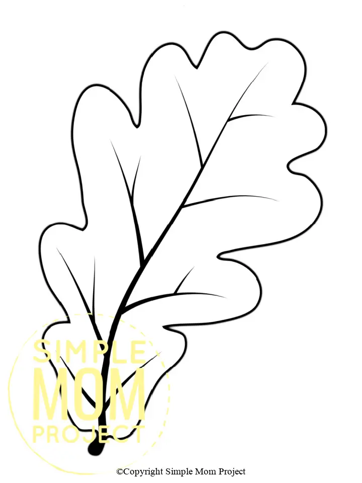 Printable Leaves Template for toddlers, preschoolers, kindergarteners and elementary kids 2