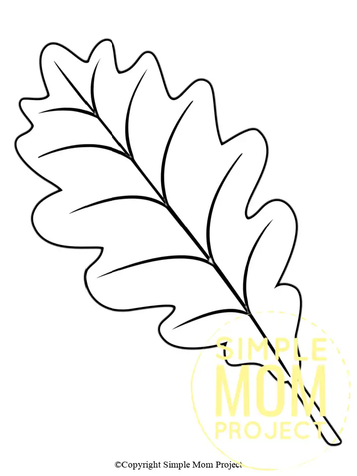 Printable Leaves Template for toddlers, preschoolers, kindergarteners and elementary kids