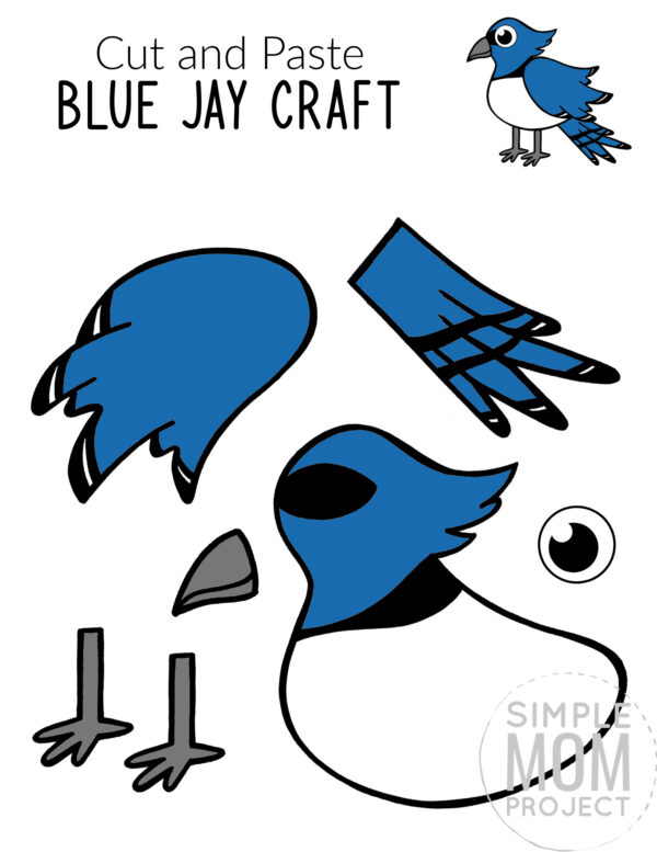 Printable Blue Jay Craft for Kids, preschoolers toddlers and kindergartners 2