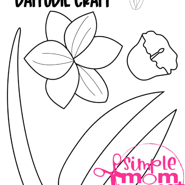Are you looking for easy printable paper flower crafts to do with your preschool or kindergarten class this spring? These simple flower crafts are great for wall art or grab some construction paper and make handmade flower cards! Your kids can even glue them on to popsicle sticks for a fun spring time decoration. These flower templates make for a simple and easy summer project too! Grab your flower craft bundle set today!