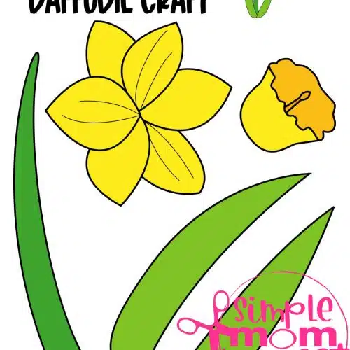 Are you looking for easy printable paper flower crafts to do with your preschool or kindergarten class this spring? These simple flower crafts are great for wall art or grab some construction paper and make handmade flower cards! Your kids can even glue them on to popsicle sticks for a fun spring time decoration. These flower templates make for a simple and easy summer project too! Grab your flower craft bundle set today!