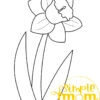 Printable Daffodil Template Spring Template Crafts for Kids, preschoolers, toddlers and spring craft projects