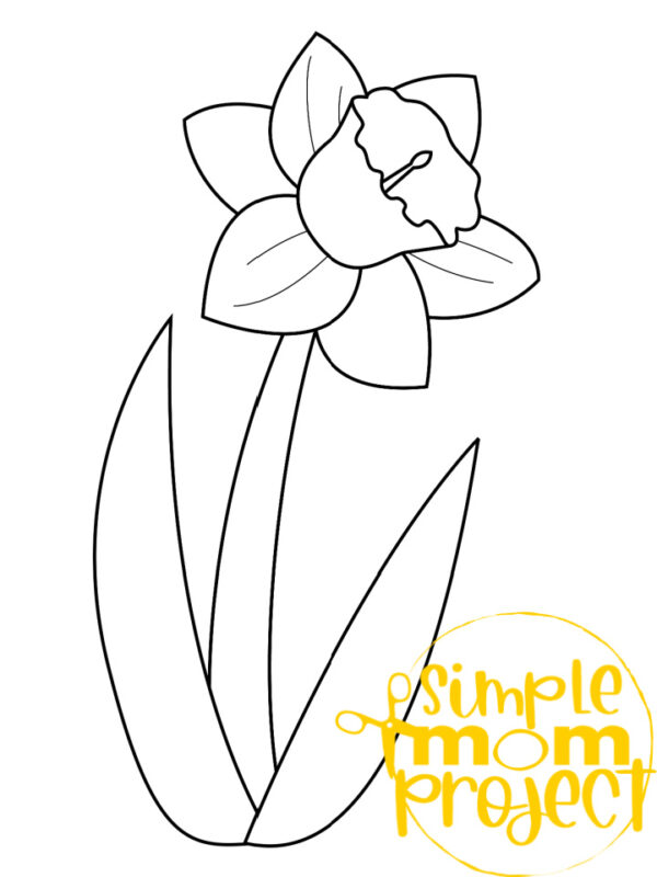 Printable Daffodil Template Spring Template Crafts for Kids, preschoolers, toddlers and spring craft projects