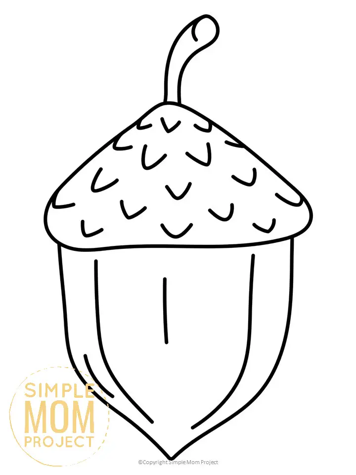 Printable Acorn Template for toddlers, preschoolers, kindergarteners and elementary kids