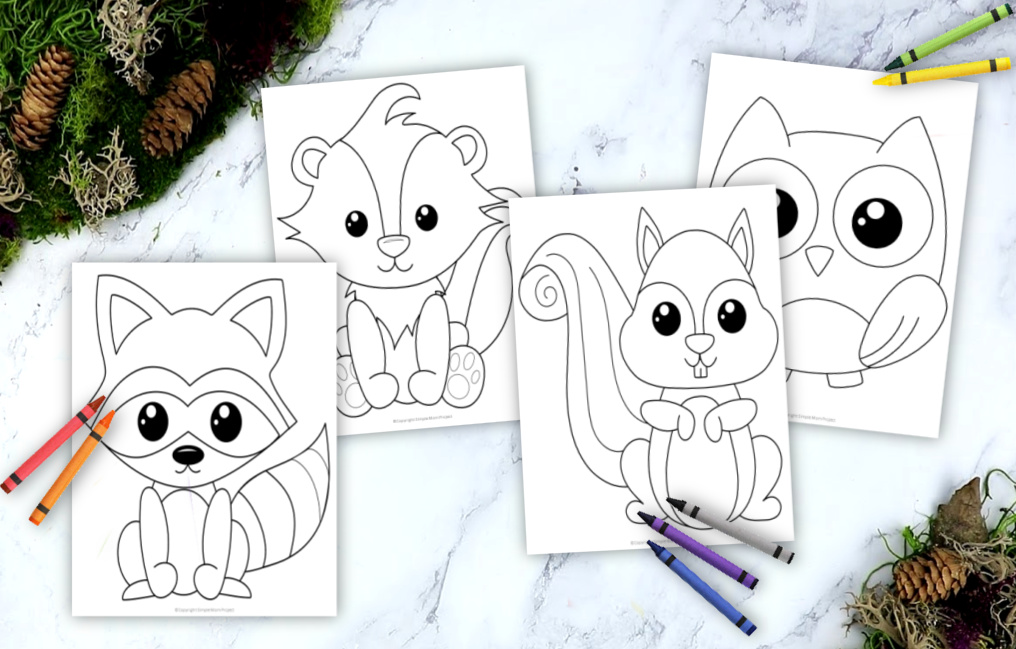 woodland animal baby coloring pages