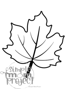 Are you on the hunt for super easy fall coloring pages to jazz up your preschool or kindergarten class? Snag these delightful, printable autumn-themed templates perfect for decorating, crafting, and getting little hands busy! Whether you're splashing on watercolors or showing off your calligraphy skills, these simple designs—think cozy leaves and a cheerful pumpkin—are ready to be transformed into a whimsical fall banner or a fun activity for your kiddos. Just click and download your bundle of fall fun today!