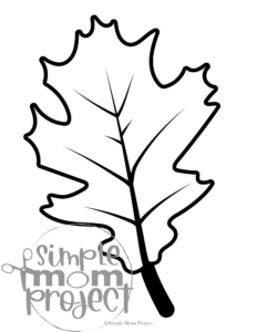 Are you on the hunt for super easy fall coloring pages to jazz up your preschool or kindergarten class? Snag these delightful, printable autumn-themed templates perfect for decorating, crafting, and getting little hands busy! Whether you're splashing on watercolors or showing off your calligraphy skills, these simple designs—think cozy leaves and a cheerful pumpkin—are ready to be transformed into a whimsical fall banner or a fun activity for your kiddos. Just click and download your bundle of fall fun today!