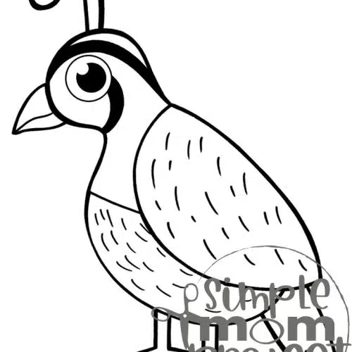 This printable letter Q craft bundle is a fun letter recognition activity for toddlers, preschoolers or kindergarteners to create when they are learning the letter /Q/ sound. Kids will love how easy to color, design and put together all these printable letter Q crafts. Make sure to purchase your own letter Q templates today!