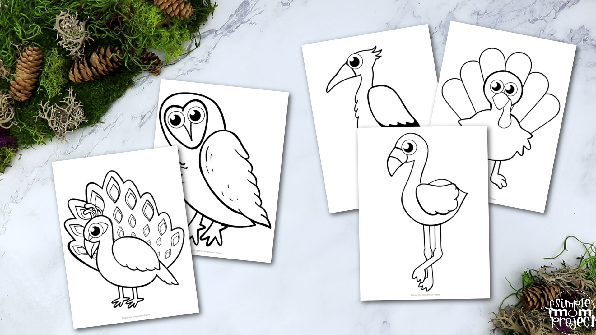 Printable Classic Bird Template Crafts for Kids, preschoolers, toddlers and kindergarten 6