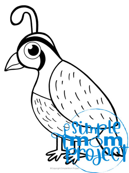 15 Adorable Bird Printable Template for Kids – Simple Mom Project Store
