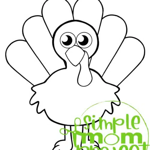 Are you looking for a simple bird template or coloring page for your next bird craft? These printable bird templates are perfect to use with recycled materials, yarn crafts, felt crafts and so much more! Print your full set of bird template coloring pages today!